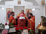 Богослужение в честь священномученника Василия из с. Бабка