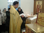 Ковчег с честными мощами новомучеников и исповедников Церкви Русской встречен в Богучарском благочинии