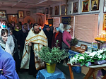В Неделю ваий в Рождественском храме совершили праздничные богослужения
