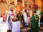 Соборное богослужение на престольный праздник в с.Лозовое