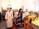 Богучарцы вместе с Главой Россошанской епархии молитвенно встретили праздник Святого Богоявления