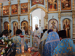 Визит епископа Россошанского и Острогожского в Каменское благочиние