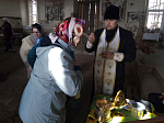Продолжается пребывание мощей блаженной Матроны Московской  в Богучарском благочинии