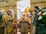 Глава Воронежской митрополии возглавил торжественное богослужение в день престольного праздника Андреевского храма