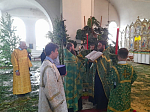 В Верхнем Мамоне встретили праздник Святой Троицы