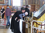 Богучарцы помолились у мощей святого Александра Невского