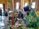 В День Святого Духа в храме Пресвятой Троицы с. Лозовое совершили праздничное богослужение