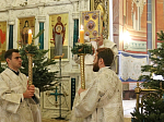 Богослужение в канун Рождества Христова в Ильинском соборе г. Россошь