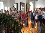 Жители Каменки молитвенно встретили праздник Святой Троицы