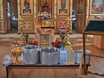 В день празднования памяти иконы Божией Матери «Живоносный Источник» в Верхнем Мамоне попросили помощи Господа и Богородицы в даровании урожая