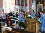 День памяти свт. Митрофана, первого епископа Воронежского молитвенно встретили в Ильинском соборе