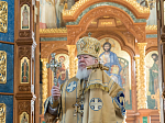 В день памяти святителя Митрофана, первого епископа Воронежского, Глава Воронежской митрополии возглавил торжественное богослужение в Благовещенском кафедральном соборе