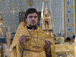 Глава Воронежской митрополии совершил диаконскую хиротонию за воскресным богослужением в Благовещенском кафедральном соборе