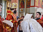В субботу Светлой седмицы, Преосвященнейший епископ Андрей совершил Божественную литургию и рукоположение в сан диакона