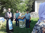 Крестный ход со «Спорительницей хлебов» прошел по селам Богучарского благочиния