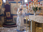 Архипастырь возглавил служение Божественной литургии в день Собора Пресвятой Богородицы