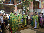 Архипастырь совершил Божественную литургию в День Святой Троицы