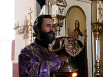 Глава Росошанской епархии совершил богослужение в Александро-Невском храме