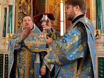 Божественную литургию перед ежегодным епархиальным собранием возглавил правящий архиерей Россошанской и Острогожской епархии
