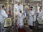 Епископ Дионисий посетил с архипастырским визитом город Богучар