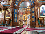 Глава Воронежской митрополии с собором духовенства совершил Божественную литургию в Благовещенском кафедральном соборе