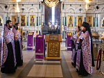 Епископ Россошанский и Острогожский Андрей помолился за богослужением в кафедральном соборе