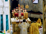 Архипастырь совершил Божественную литургию в день Собора всех святых, от века Богу угодивших