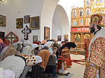 26 апреля, в субботу Светлой седмицы, Преосвященнейший епископ Россошанский и Острогожский Андрей совершил Божественную литургию в Казанском храме г. Павловска