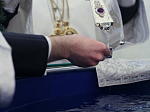 В праздник Богоявления Правящий Архиерей Россошанской епархии совершил ночную Литургию и чин Великого﻿ освящения воды в Ильинском кафедральном соборе