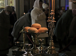 Праздничное богослужение в день Введения во храм Пресвятой Богородицы в Свято-Ильинском соборе г. Россошь