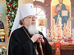 Глава Воронежской митрополии посетил Борисоглебскую епархию