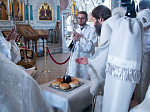 В Великую Субботу епископ Россошанский и Острогожский Андрей совершил литургию свт. Василия Великого в Ильинском соборе