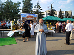 Фестиваль «Русь песенная, Русь мастеровая» в хуторе Ломы Воробьевского района