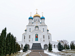 Глава Воронежской митрополии совершил архипастырский визит во второй кафедральный город Воронежской епархии