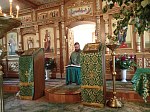 День Святой Троицы в Русской Журавке