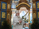 Глава Воронежской митрополии возглавил праздничные Рождественские богослужения в Благовещенском кафедральном соборе