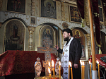 Паломники из Воронежской епархии посетили пгт Каменка