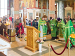 Церковь совершает память прп. Сергия Радонежского – игумена земли русской