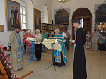 Крестный ход со «Спорительницей хлебов» по Богучарскому благочинию