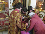 Преосвященнейший епископ Россошанский и Острогожский Андрей совершил праздничный молебен накануне дня памяти святого благоверного Александра Невского