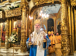 Епископ Россошанский и Острогожский Андрей сослужил Святейшему Патриарху Сербскому Иринею за Божественной литургией