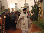 Рождественская праздничная служба в Казанском храме Каменки