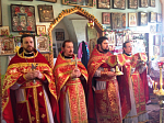 Соборная литургия в Казанском храме с. Ерышевка