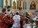 Правящий Архиерей Россошанской епархии совершил Божественную литургию в день памяти вмч. и целителя Пантелеимона