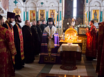 Епископ Россошанский и Острогожский Андрей совершил панихиду по казакам, невинно убиенным в годы Гражданской войны