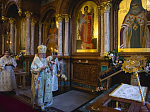 Епископ Россошанский и Острогожский Андрей сослужил Архипастырям за торжественным богослужением в Благовещенском кафедральном соборе