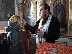 Паломники из Россошанского благочиния посетили Каменку