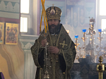 Епископ Россошанский и Острогожский Андрей возглавил уставное утреннее богослужение Великой Среды