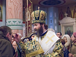 Епископ Россошанский и Острогожский Андрей совершил Всенощное бдение и освятил вайи
