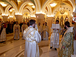 Визит епископа Россошанского и Острогожского Андрея в Сербию